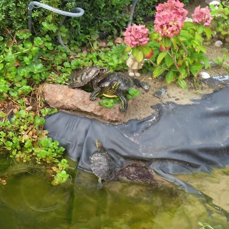 Pensionat Barghus Gmbh Zinnowitz